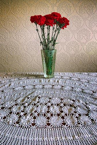 Carnation Still Life_DSCF02405.jpg - Photographed at Ottawa, Ontario, Canada.